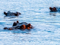 Rzeka Zambezi